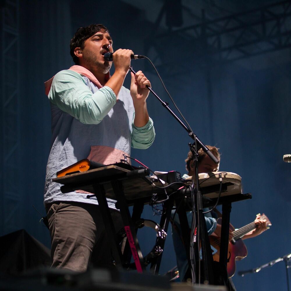 Picture of Grizzly Bear