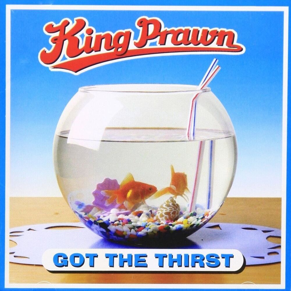 Picture of King Prawn