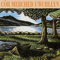 C&ocirc;r Merched Uwchllyn