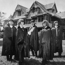 Picture of Count Five