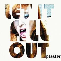 Picture of Plaster