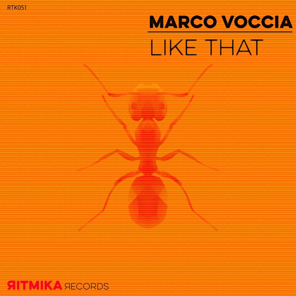 Picture of Marco Voccia