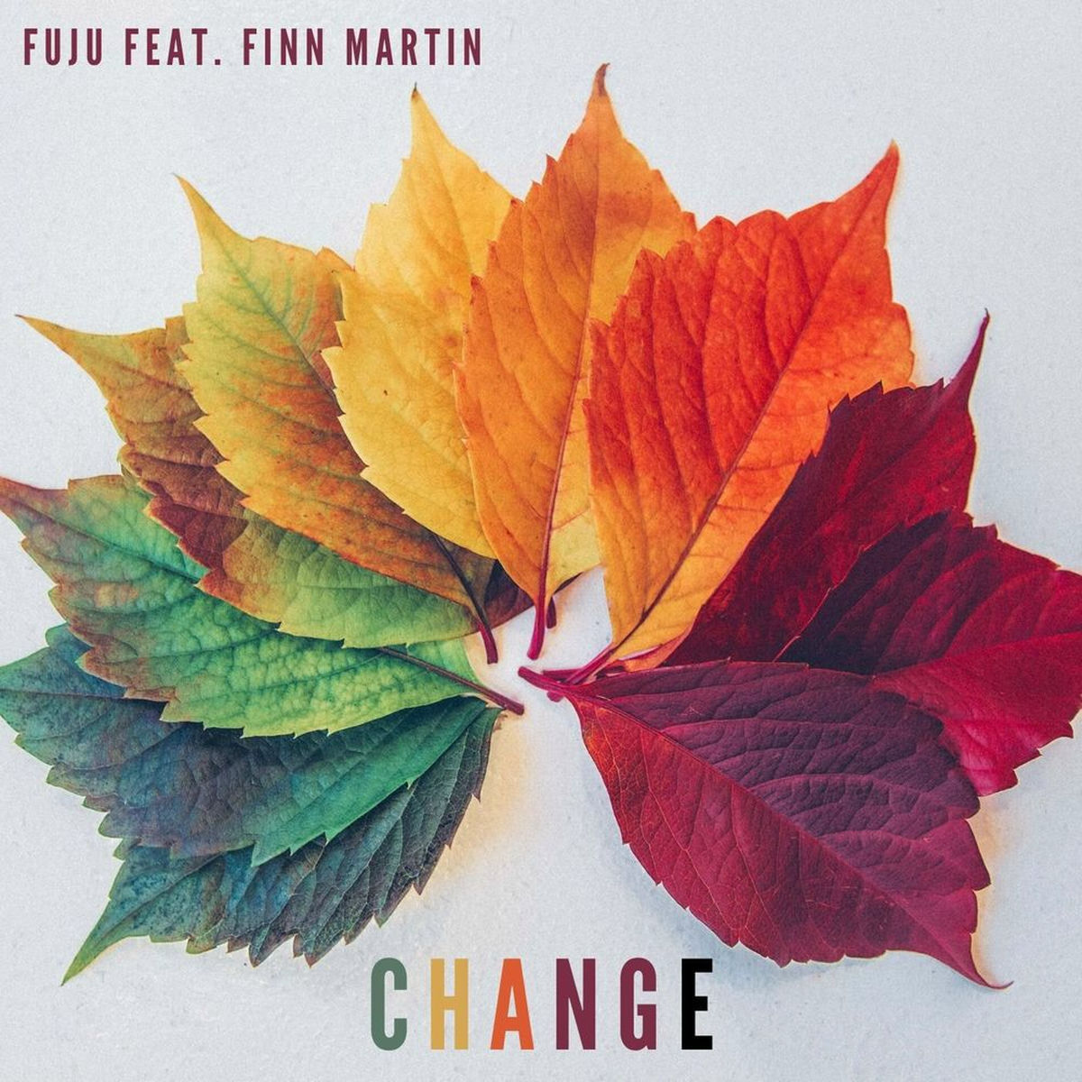 Finn Martin