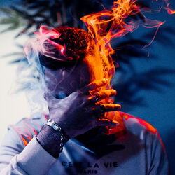 Picture of The Self-Escape