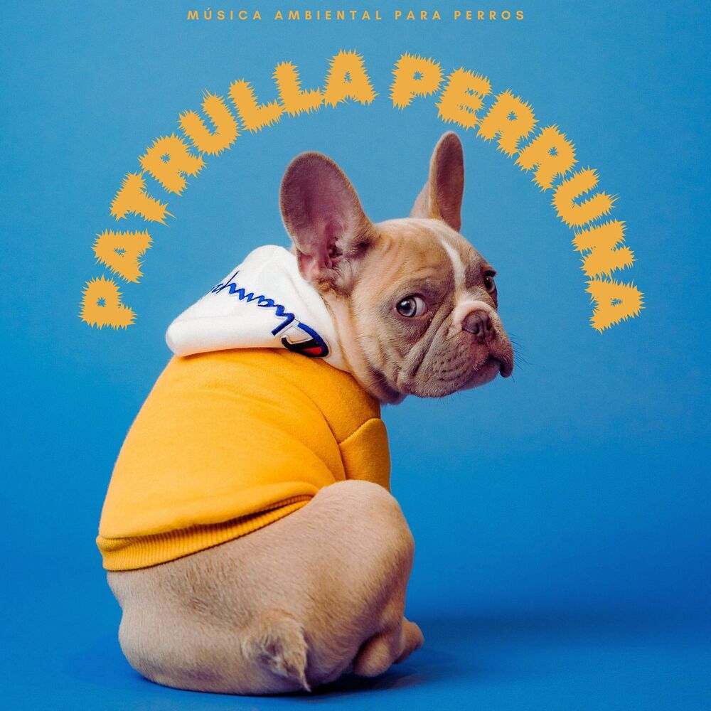 Picture of Hora de acostarse del perro