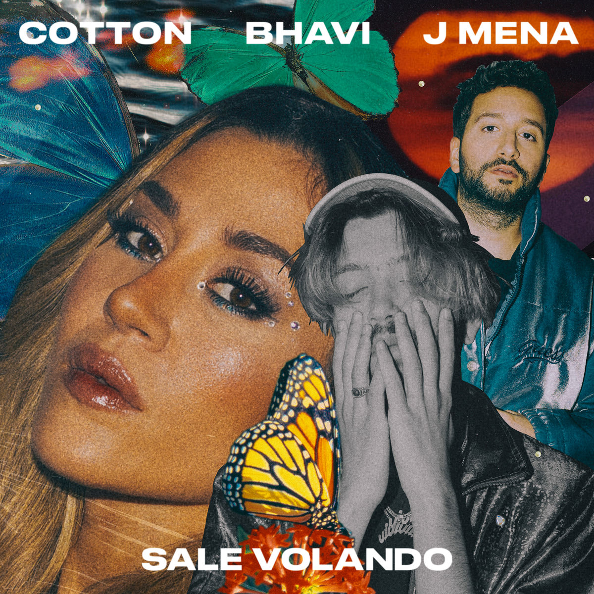 Nico Cotton