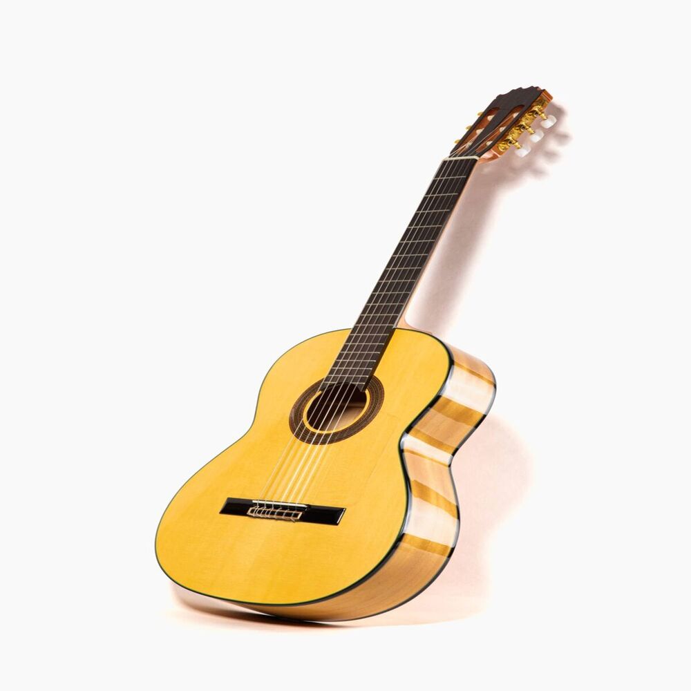 Picture of Rabanito
