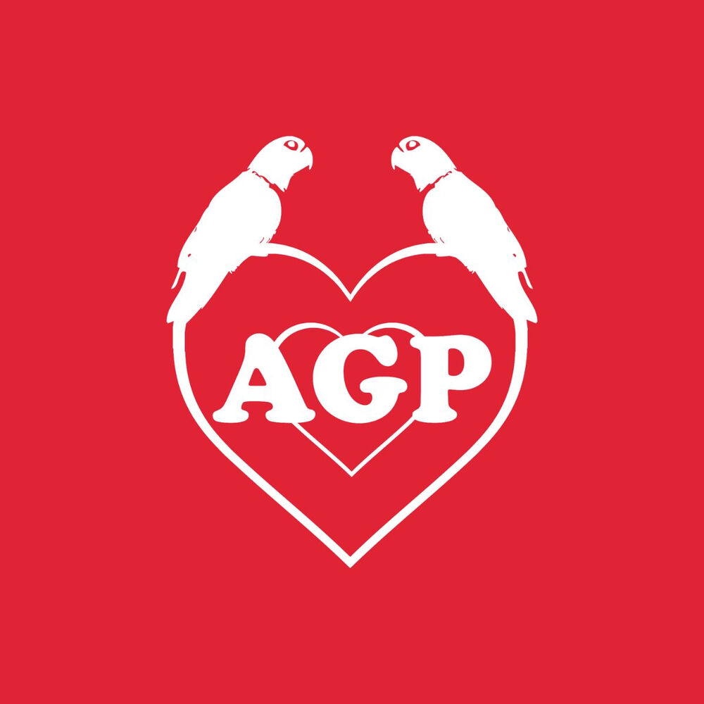 Picture of Agapornis