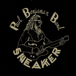 Picture of Paul Benjaman Band