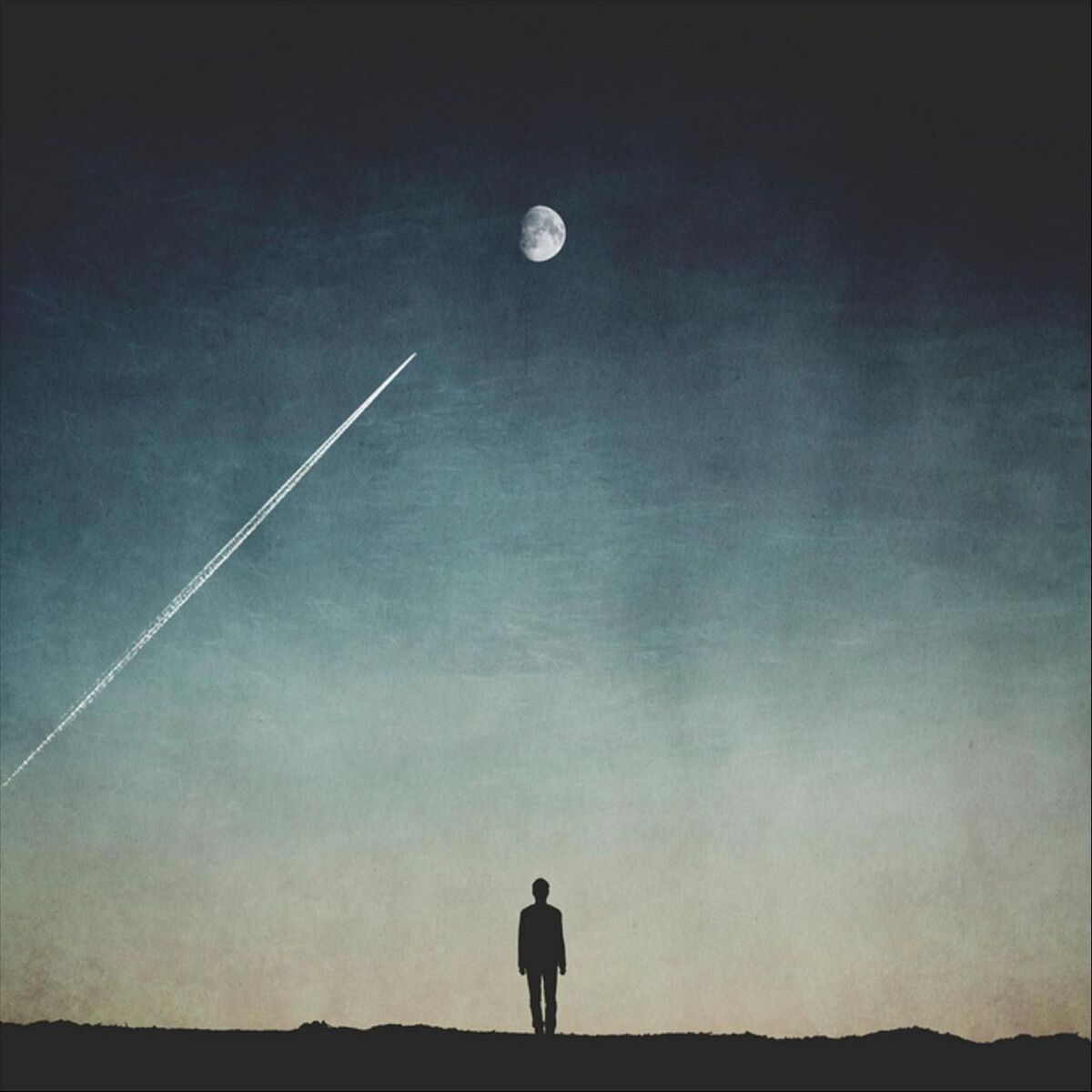 A Year on Earth