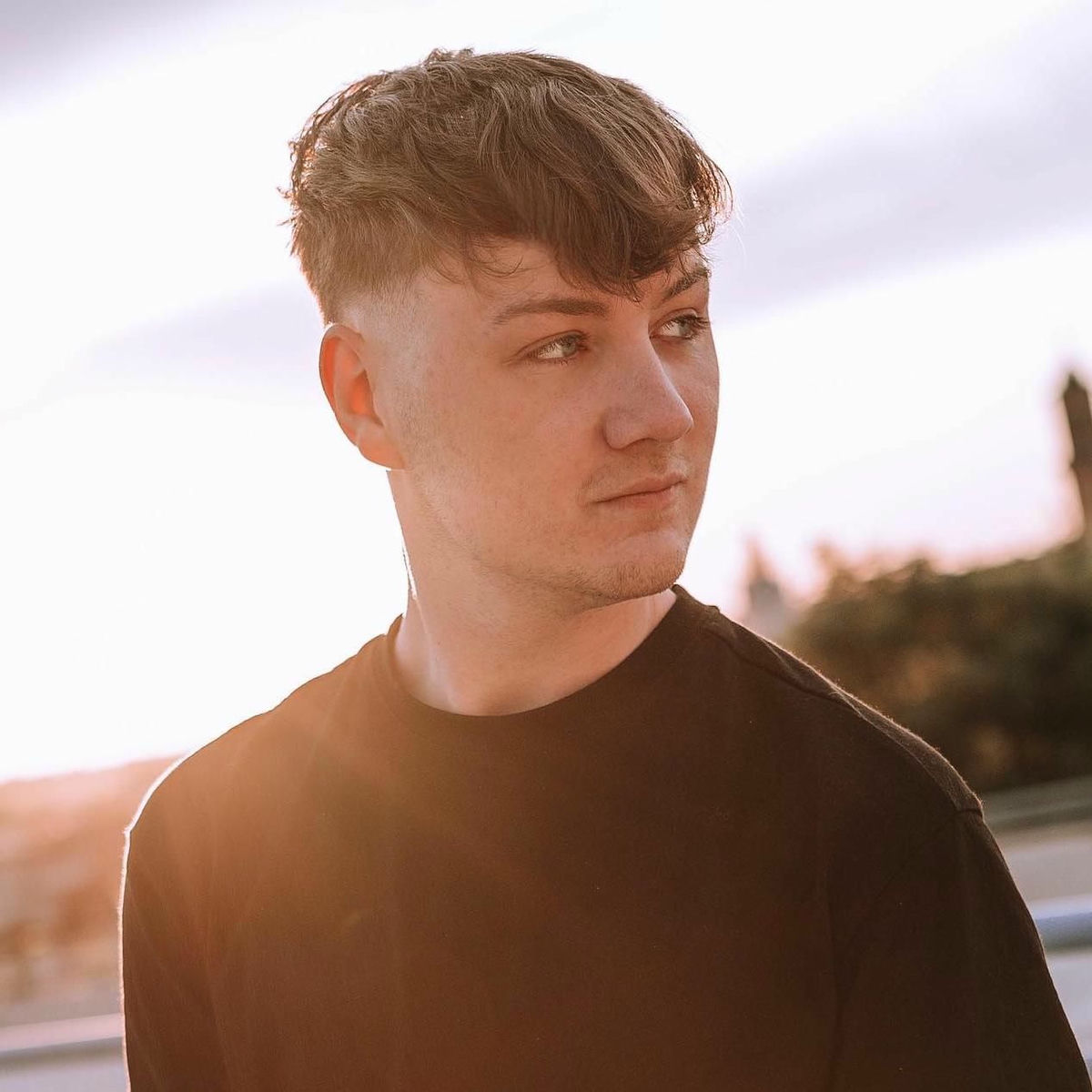 Artist picture of Niklas Dee