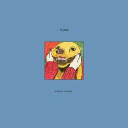 Picture of Tunic