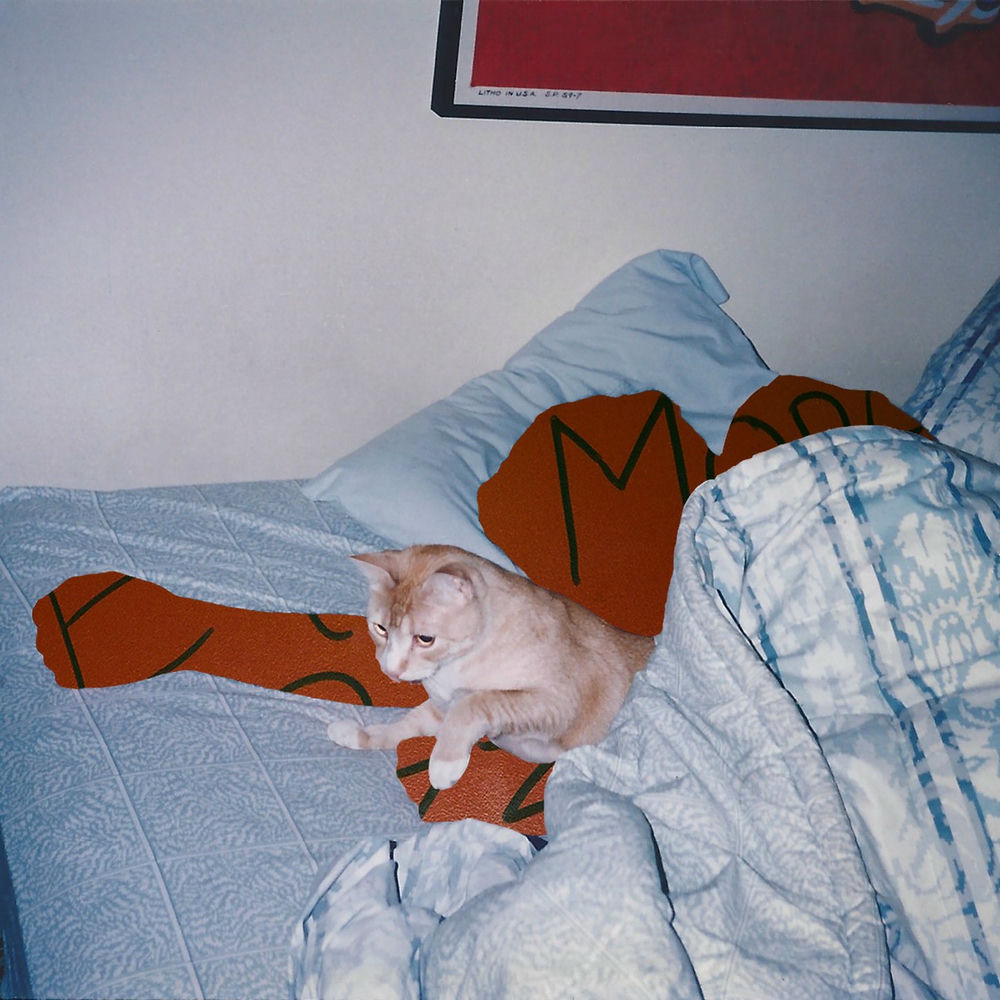 Photo de l'artiste Beshken