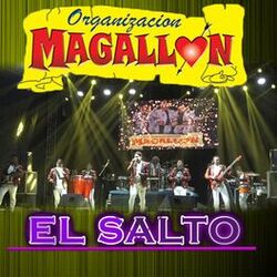 Picture of Organizacion Magallon