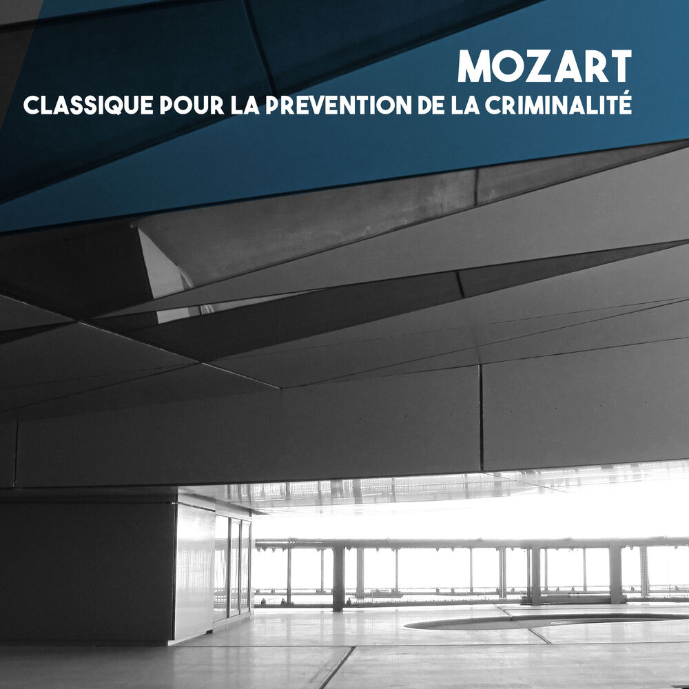 Picture of Sinfonieta Slovaka Chamber Orchestra