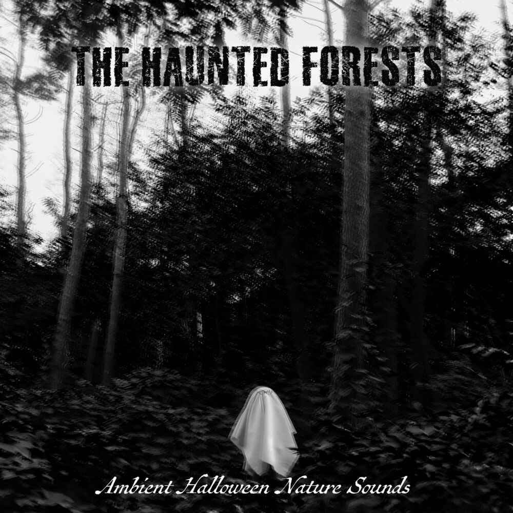 Picture of Ambient Sounds Collection