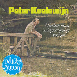 Picture of Peter Koelewijn