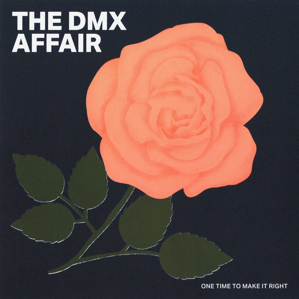 Photo de l'artiste The DMX Affair