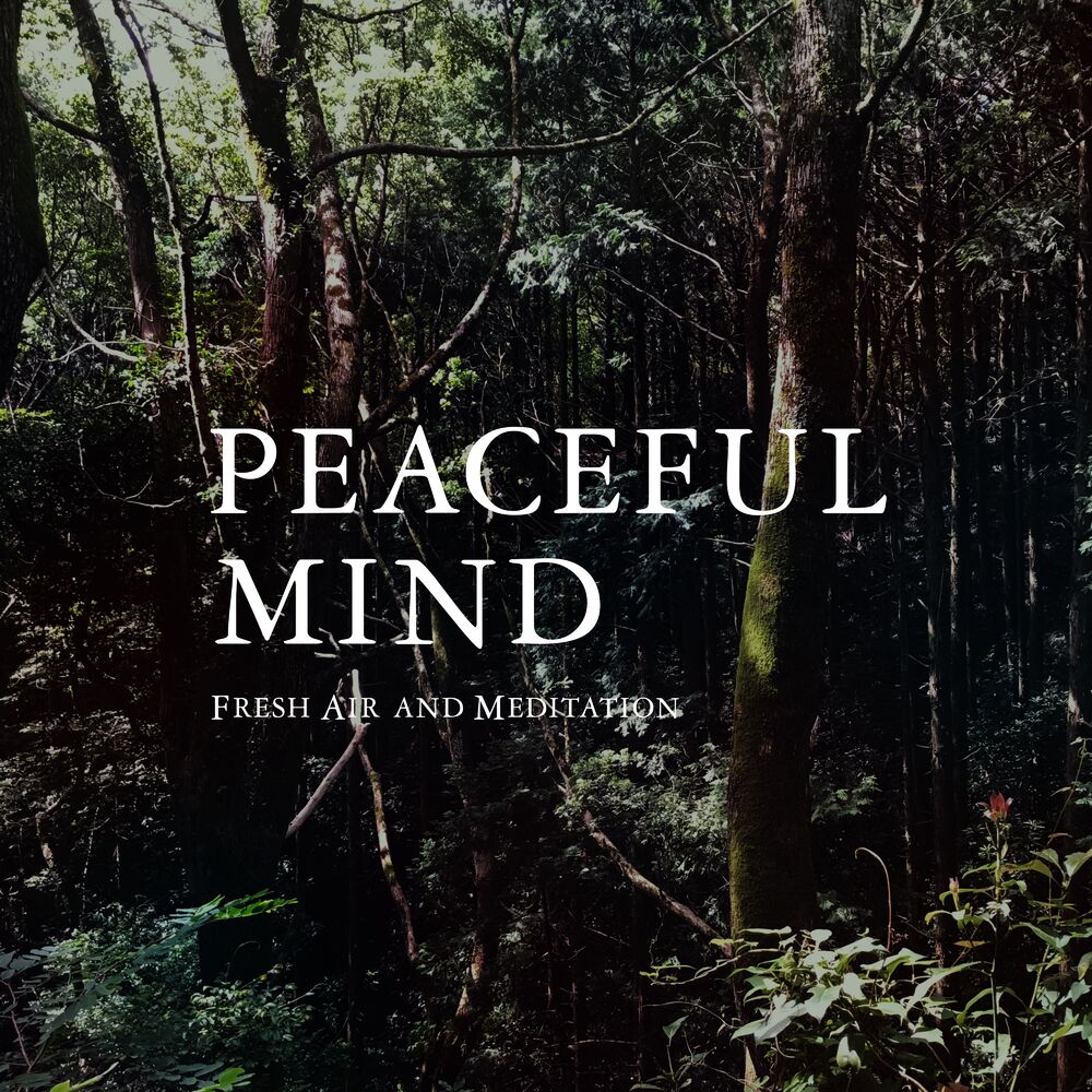 Picture of Fresh Air and Meditation