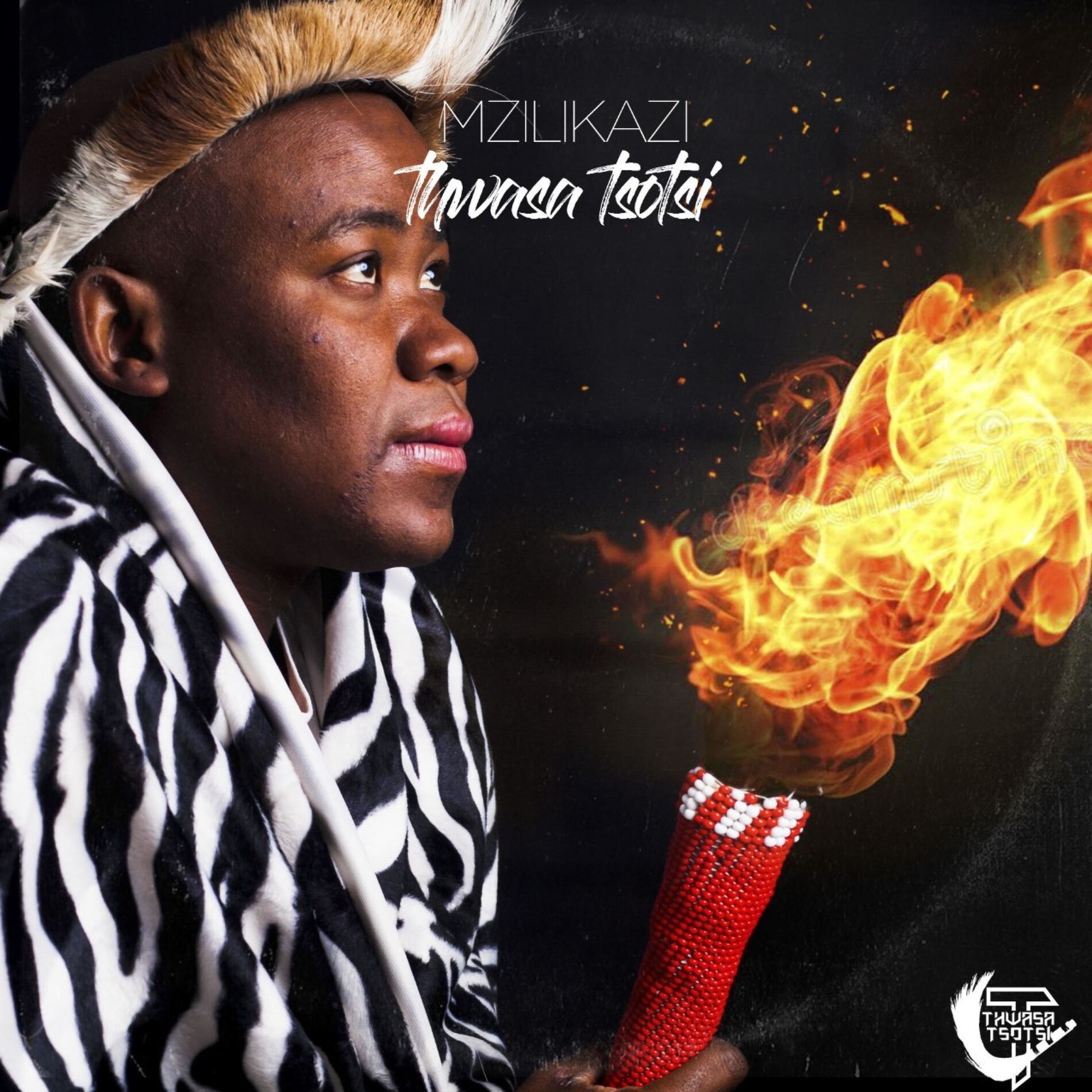 Artist picture of Mzilikazi