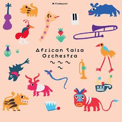 Picture of African Salsa Orchestra