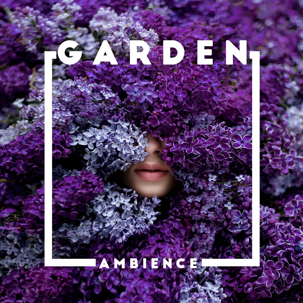Picture of Garden Music Academy