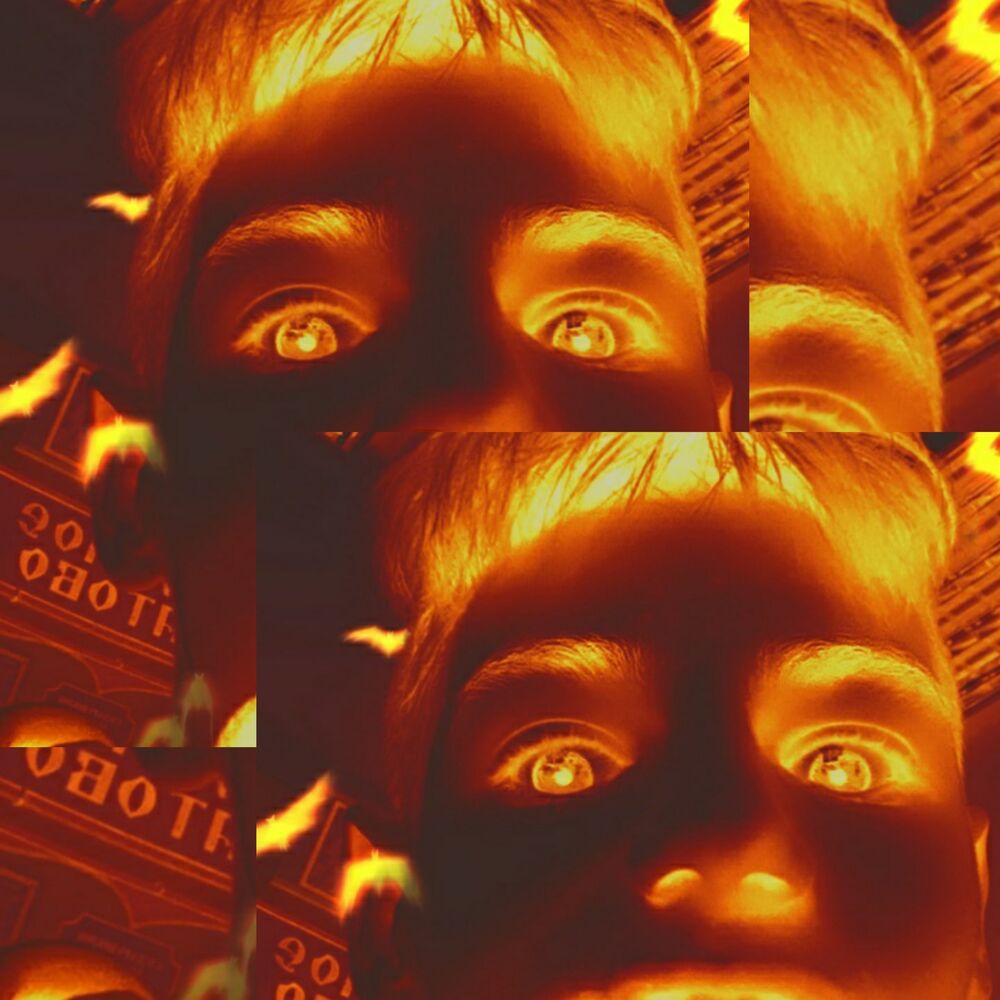 Picture of LEYRN