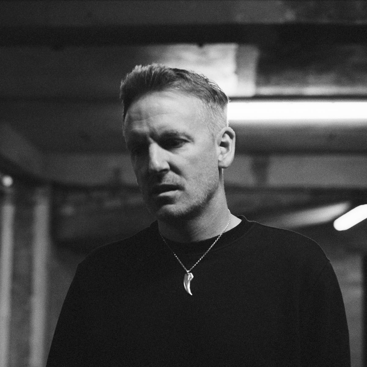 Artist picture of Rex the Dog