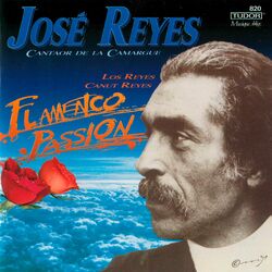 Picture of José Reyes & Los Reyes