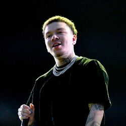 Picture of Phora