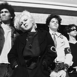 Picture of The Germs