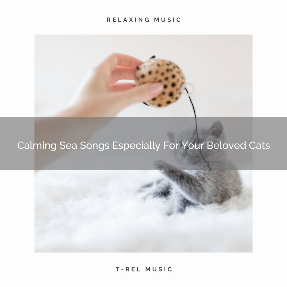 Picture of For Cats Only
