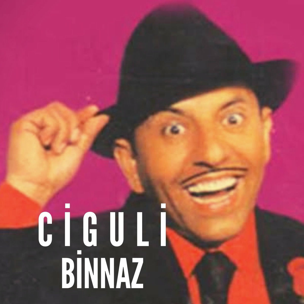 Artist picture of Ciguli