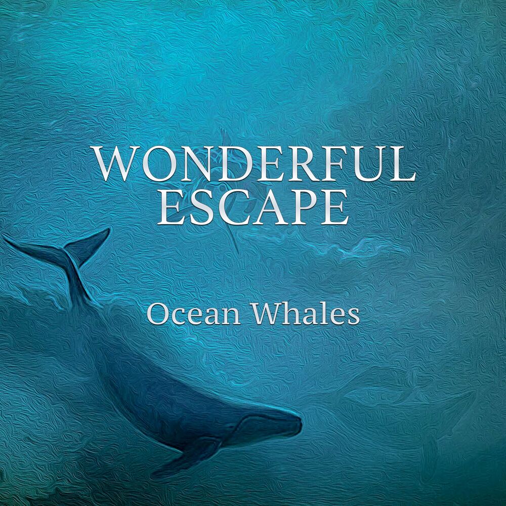 Picture of Wonderful Escape