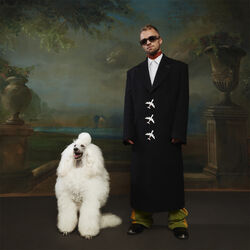 Picture of Squeezie