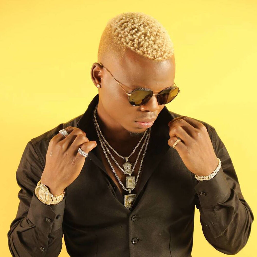 Picture of Harmonize