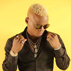 Picture of Harmonize