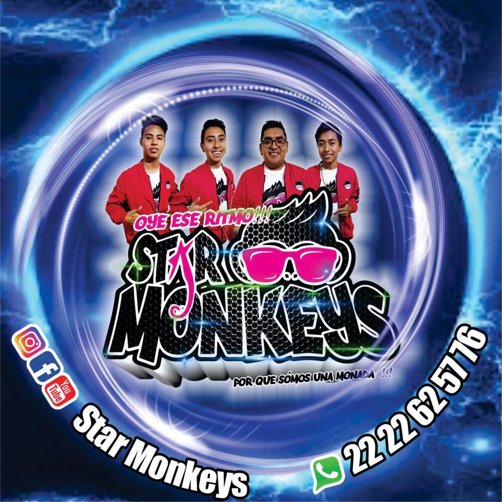Picture of Star Monkeys
