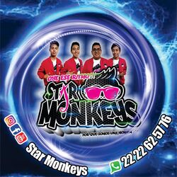 Picture of Star Monkeys