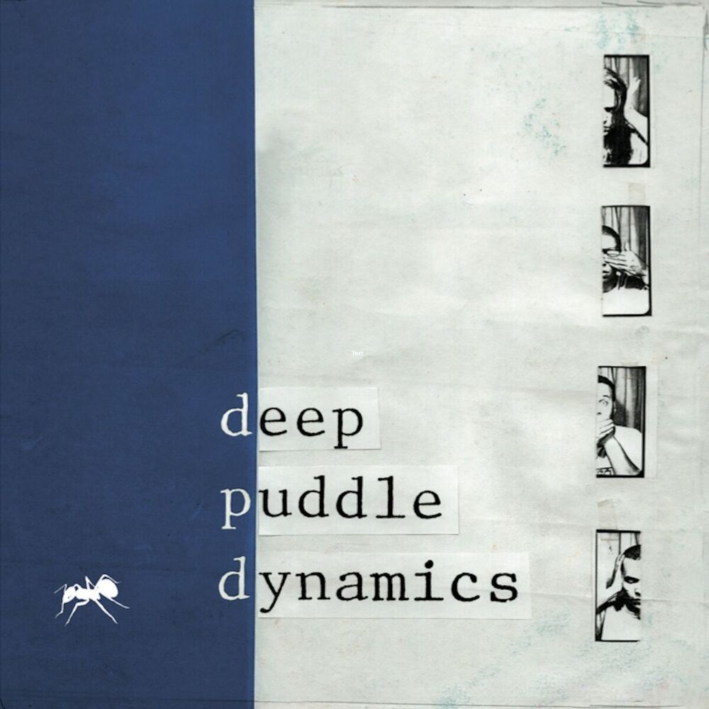 Picture of Deep Puddle Dynamics
