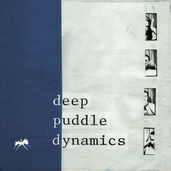 Picture of Deep Puddle Dynamics