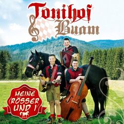 Picture of Tonihof-Buam