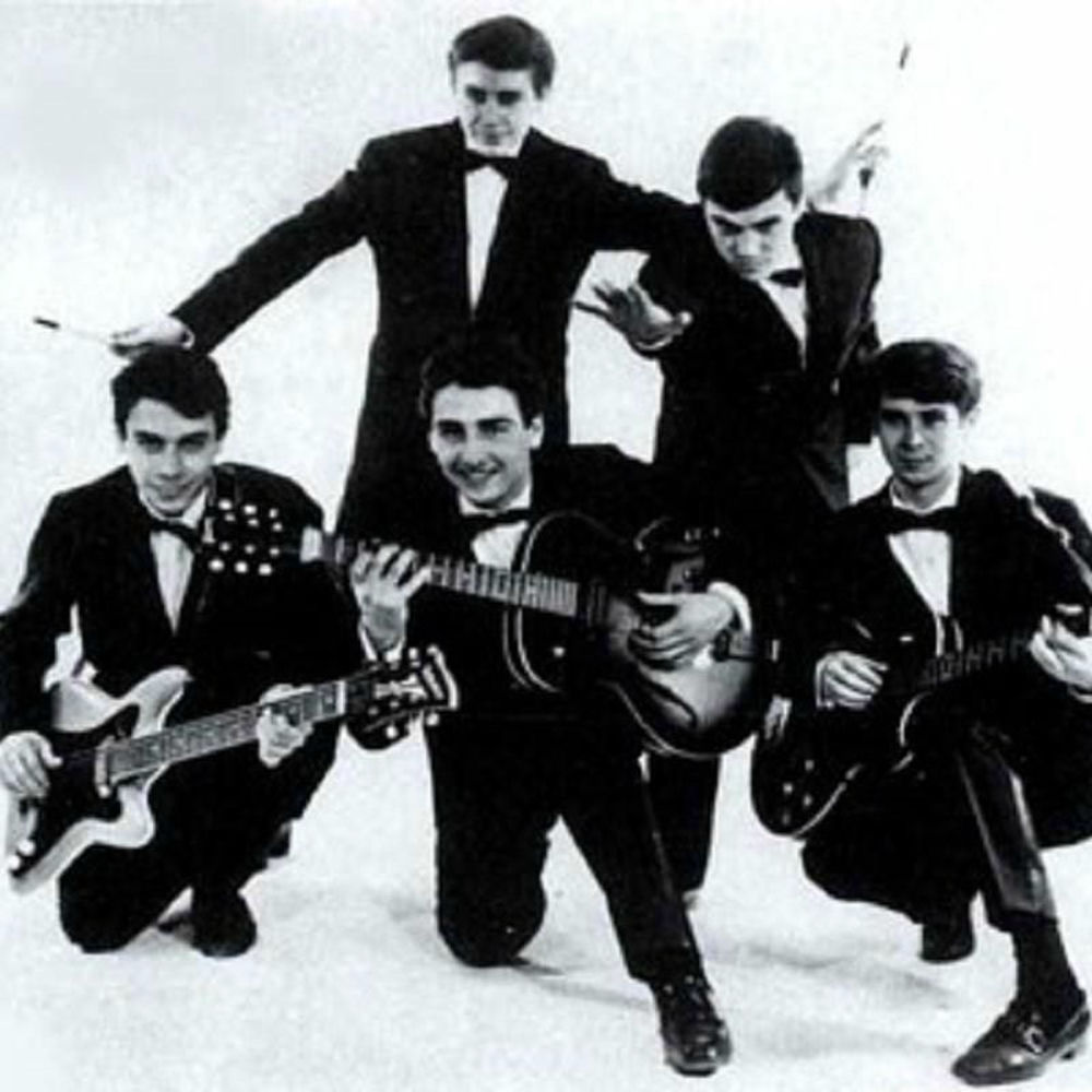 Photo de l'artiste Les Pingouins