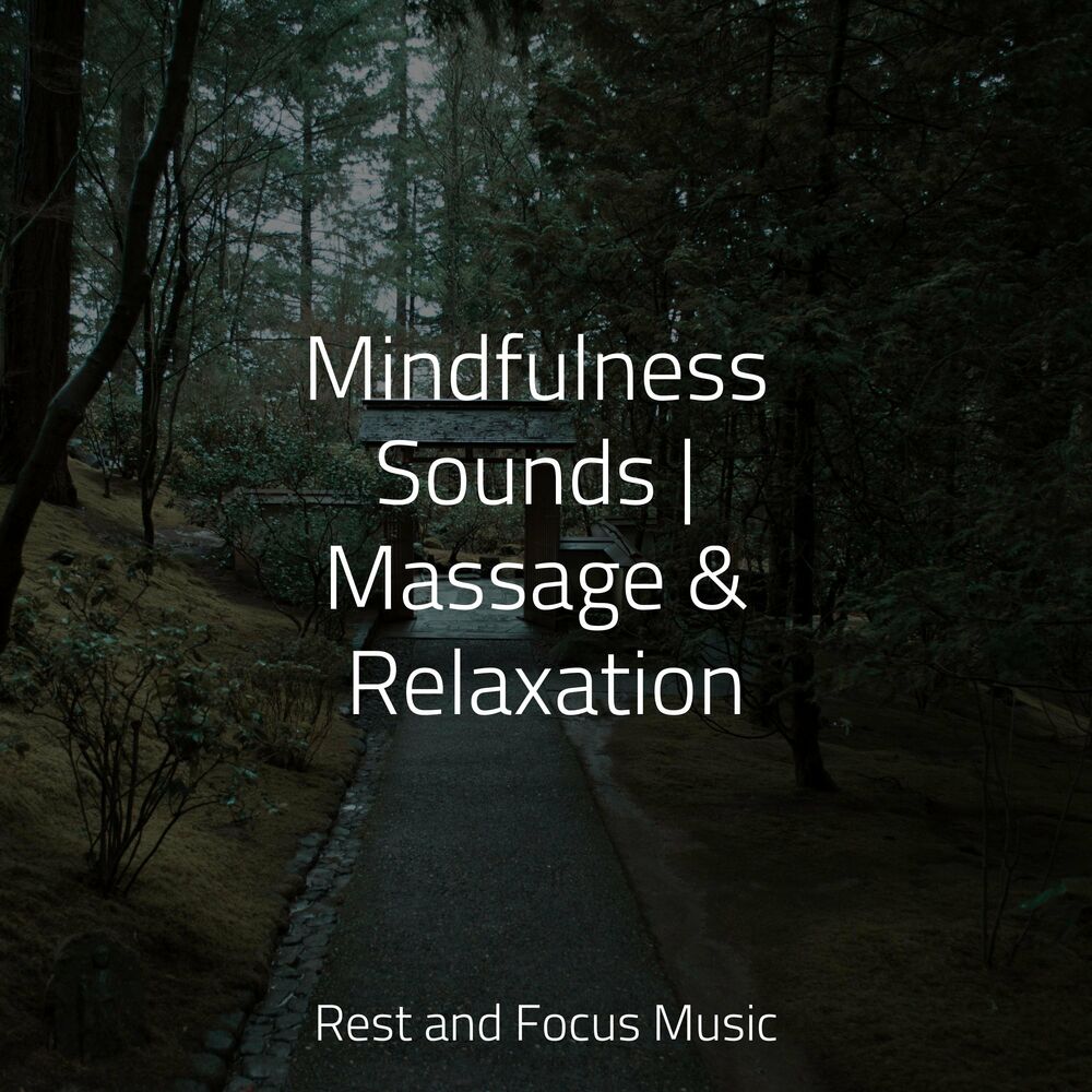 Picture of Study Music