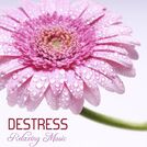 Destress Relaxing Music School