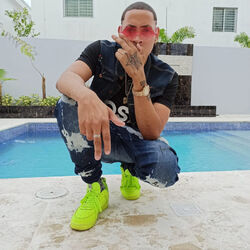 Picture of Potencia Lirical