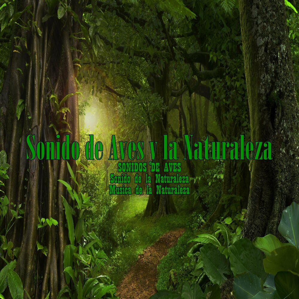 Picture of Sonido De La Naturaleza