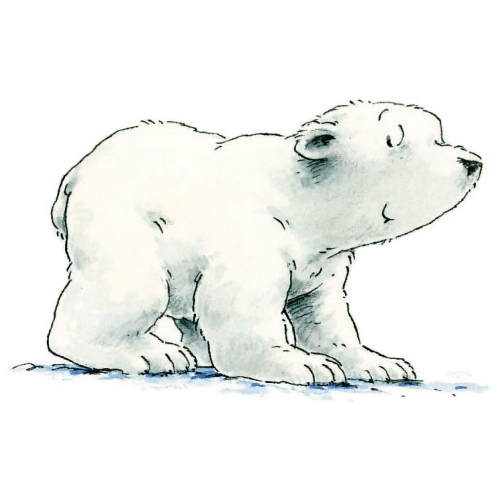 Picture of Kleiner Eisbär