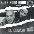 DL Down3r