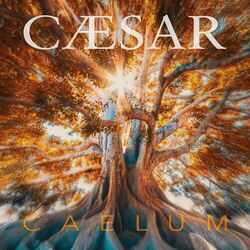 Picture of Cæsar